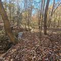 868 Julie Mcknight Road - Photo 51