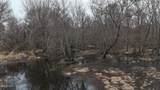 0 Walnut Grove Church Road - Photo 43
