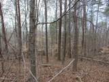 12 Lone Oak Trail - Photo 10