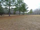 12 Lone Oak Trail - Photo 5