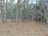 12 Lone Oak Trail - Photo 6