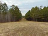 12 Lone Oak Trail - Photo 9