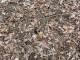 0 Eatmon Road - Photo 9