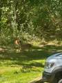 3117 Tryon Road - Photo 21