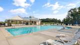 256 Honeydew Drive - Photo 43