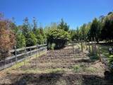 816 Nc Highway 751 - Photo 75