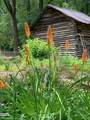 816 Nc Highway 751 - Photo 80