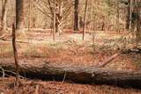 000 Ferguson Road - Photo 10