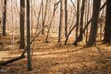 000 Ferguson Road - Photo 14