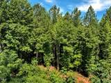 5310 Langdon Drive - Photo 4