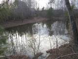 5.86 Acres Pearces Road - Photo 4
