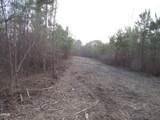 2.40 Acres Pearces Road - Photo 3
