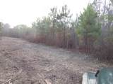 2.40 Acres Pearces Road - Photo 4