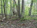 Lot 2 Deer Run Trail - Photo 1