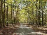 Lot 2 Deer Run Trail - Photo 10