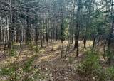 115 Acre Elmore Road - Photo 4