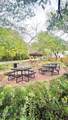 720 Oakwood Avenue - Photo 9