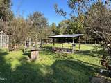 153 Ninovan Place - Photo 12