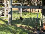 153 Ninovan Place - Photo 14
