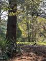 153 Ninovan Place - Photo 9