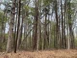 0 Lot 336 Forest Hills Drive - Photo 3