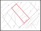 116-10 Pine Street - Photo 5