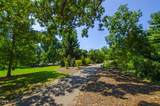 1010 Nicholwood Drive - Photo 30