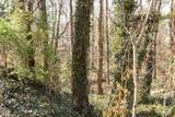 4017 Balsam Drive - Photo 6