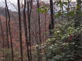 0 Bear Cove Circle - Photo 1