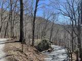 0 Bear Cove Circle - Photo 3