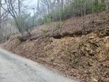 0 Bear Cove Circle - Photo 4