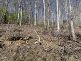 0 Bear Cove Circle - Photo 5