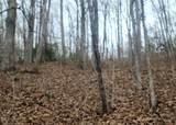 0 Bear Cove Circle - Photo 6