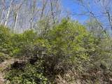 0 Bear Cove Circle - Photo 8