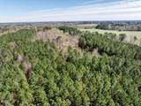 50 Nipper Lane - Photo 10