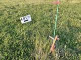 2.97 Acres Jones Road - Photo 8