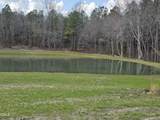 115 Water Willow Lane - Photo 55