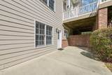 47 Coneflower - Photo 40