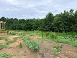 202 Batten Pond Road - Photo 70