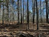 294 The Glades - Photo 2