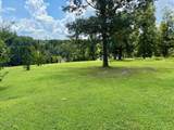 Lot D Swallowtail Dr - Photo 10