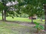 Lot D Swallowtail Dr - Photo 13