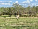 7.28 Acres Jones Road - Photo 13