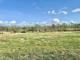 7.28 Acres Jones Road - Photo 14