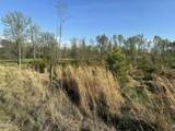 7.28 Acres Jones Road - Photo 6