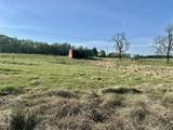 7.28 Acres Jones Road - Photo 9