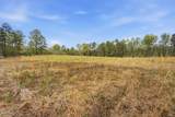6134 Bob Daniel Road - Photo 11