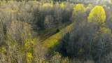 8730 Grassy Creek Road - Photo 13
