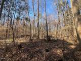 1000 Cross Link Road - Photo 13