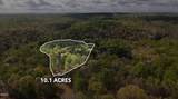 709 Glen Mist Trail - Photo 1